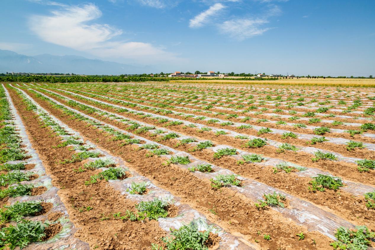 eSUN易生生物降解改性料及制品，助力推动农业可持续发展