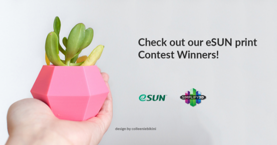 Announcing the eSUN Print Contest Winners!