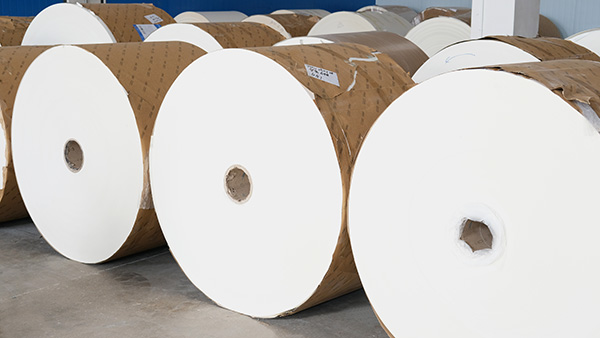eSUN PLA coated paper | healthy and environmental-friendly