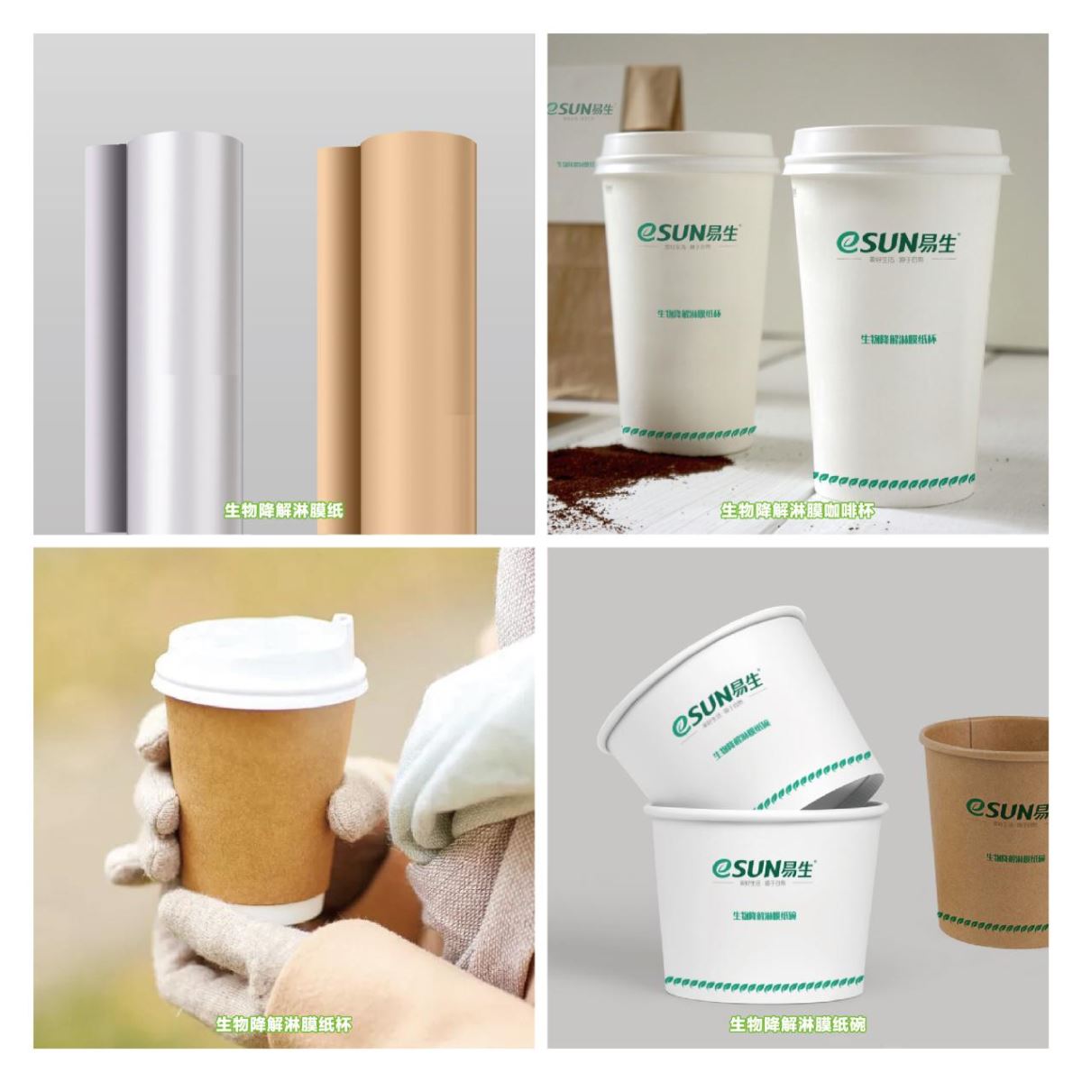 Biodegradable coated paper and products